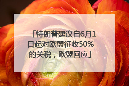特朗普建议自6月1日起对欧盟征收50%的关税，欧盟回应